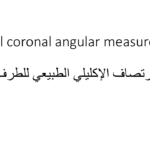 Normal alignment (20)